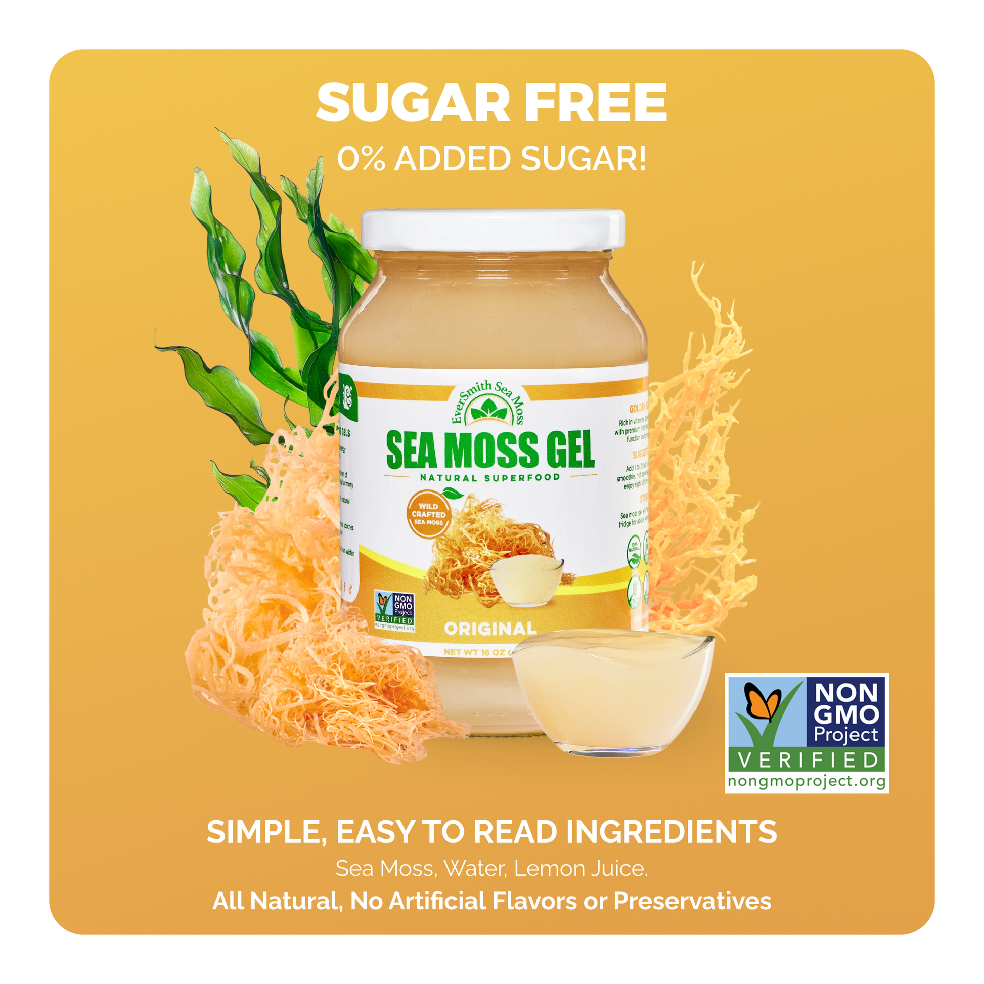 Value Packs - Unflavored Golden Sea Moss Gel (16 Ounce