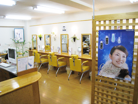 クロロフイル│店舗検索