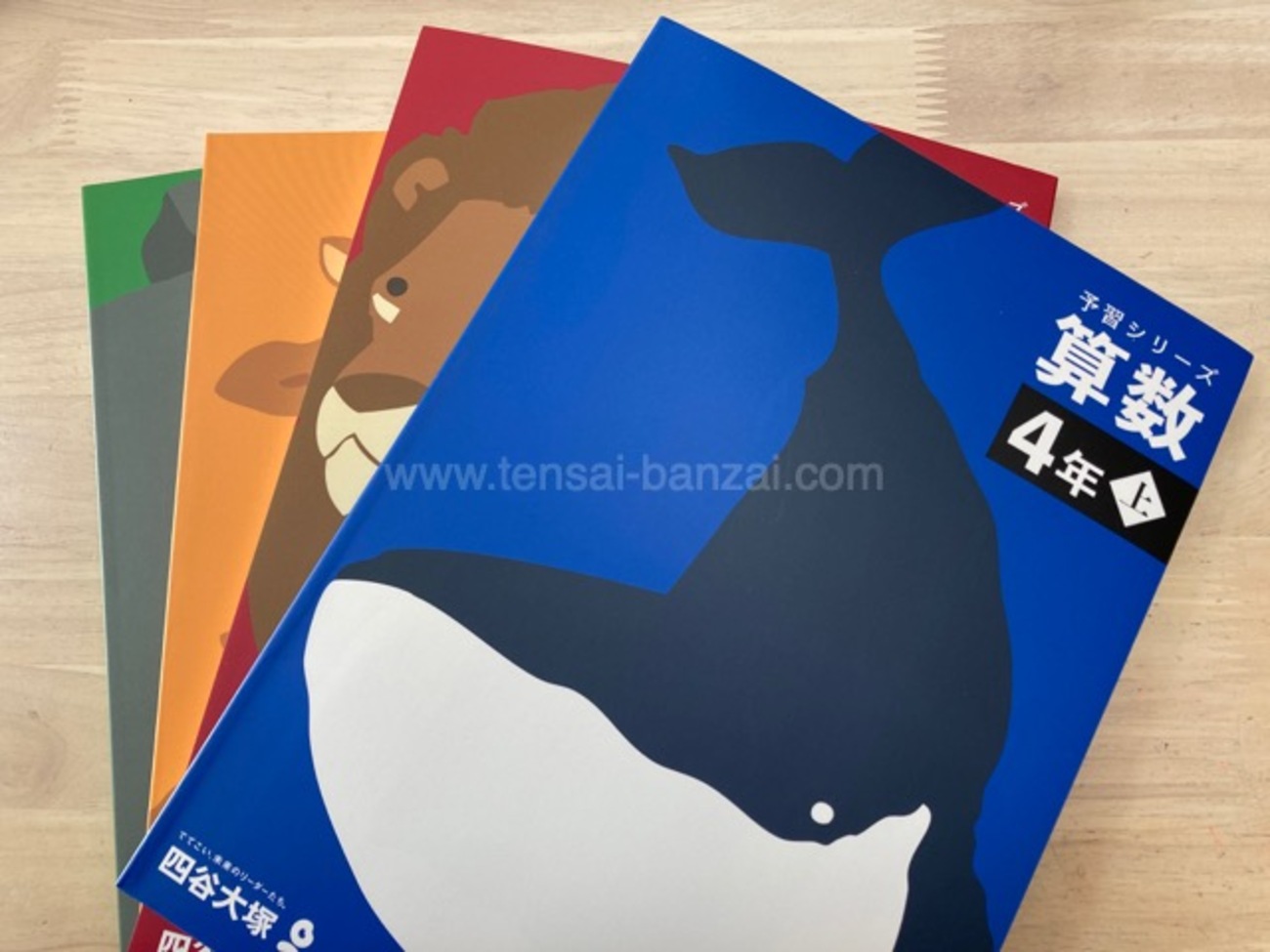 backend=imagemagick;version=1;