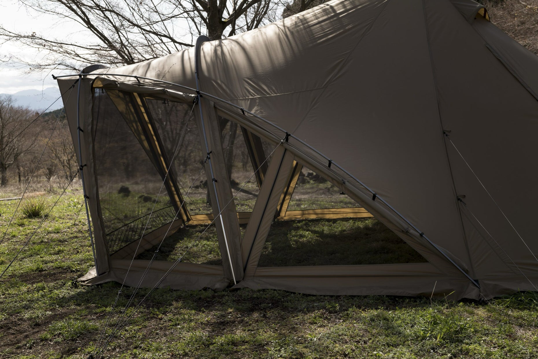 ゼインアーツ ロロ LOLO | PRODUCTS | ZANE ARTS