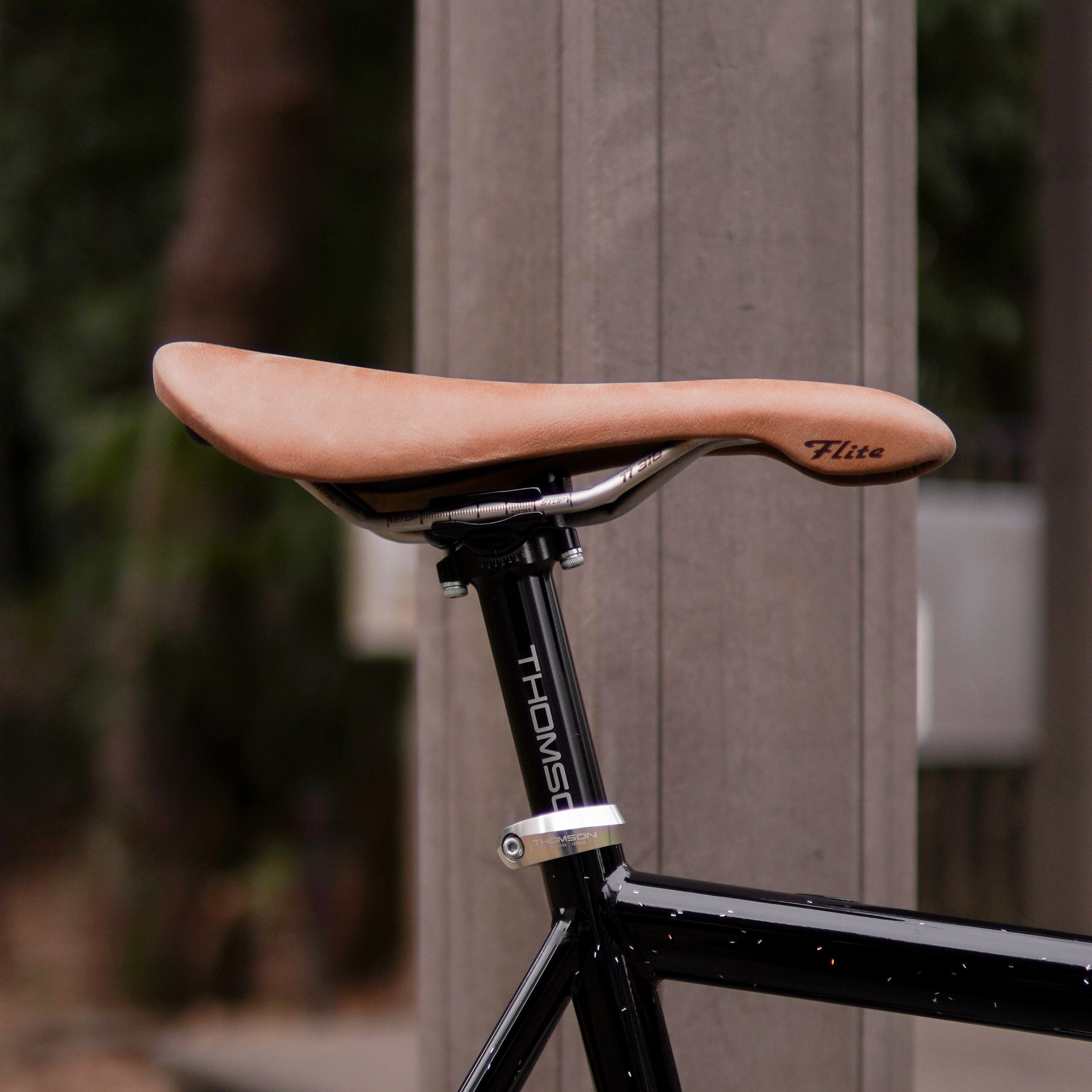 DSC00584_-2.jpg?v=1725780237