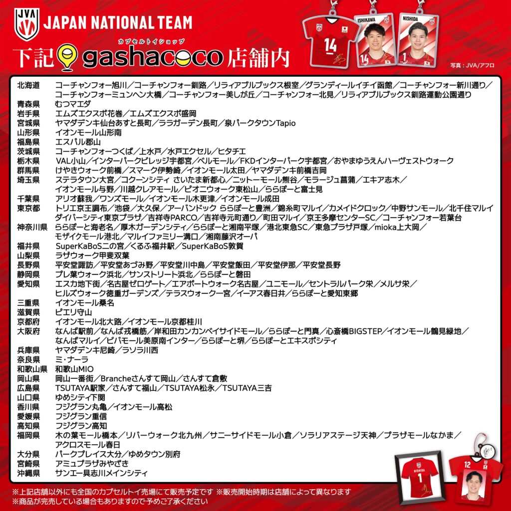 予約・購入】バレーボール男子日本代表選手 フレームマグネット /設置