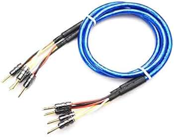 41y6VmayLTL._AC_UF350,