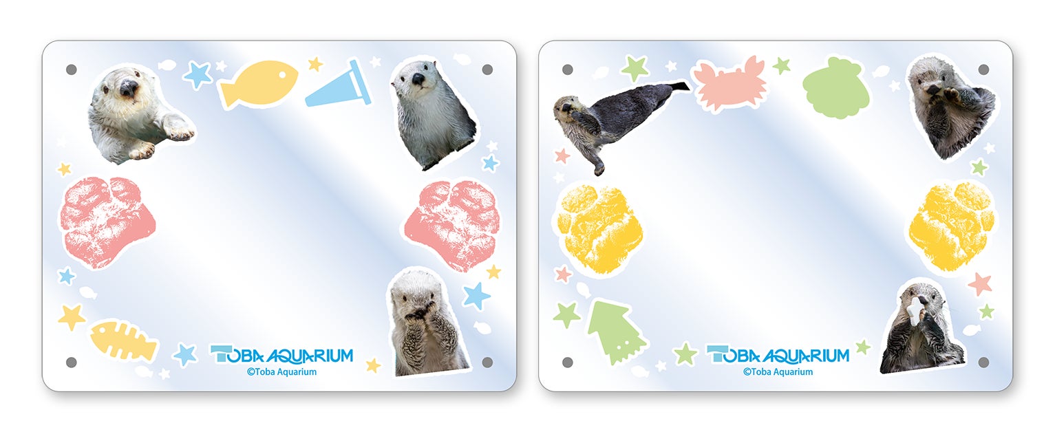 鳥羽水族館』のアイドルが帰ってきた！ 「ラッコのメイちゃん」の誕生