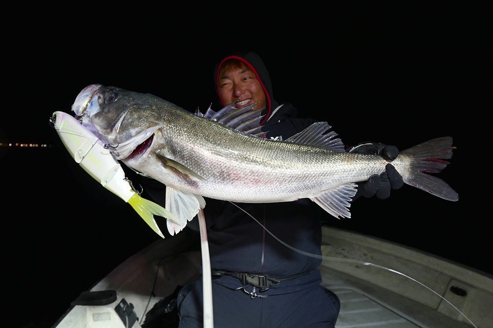 2022年 新製品紹介】SilverStream BIG BAIT Series | リップル