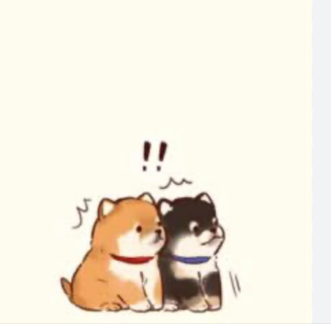 ボディローション rui MP-RadicalRose-Lotion-300mL-