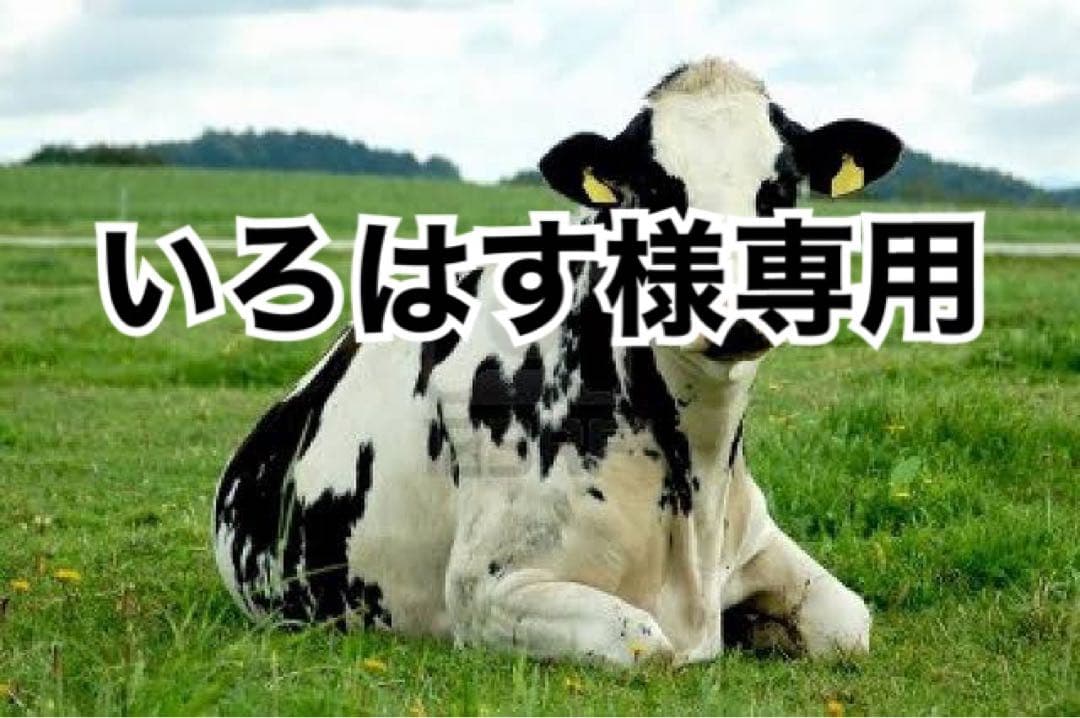 野球グラブ用端材100本詰め込みセット①、④ ゼット（ZETT） 3連休も毎日出荷 交換無料 野球 グローブ 軟式 大人 右