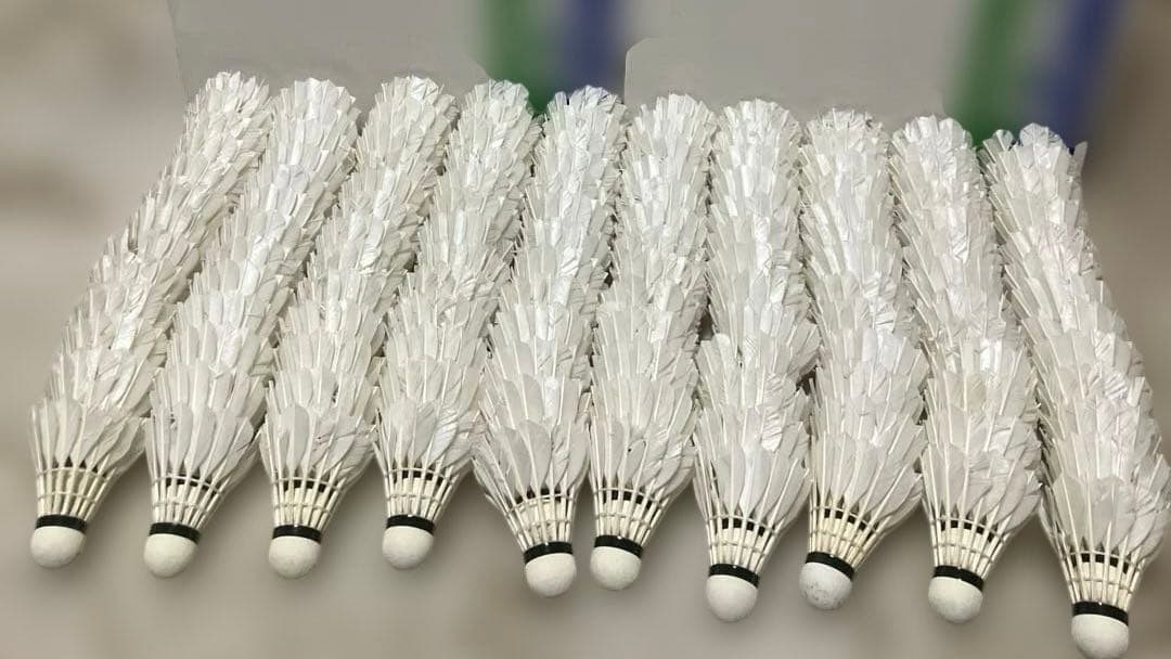 YONEX【中古】バドミントンシャトル260球 シャトルコック SHUTTLECOCK |YONEX BADMINTON（ヨネックスバドミントン）