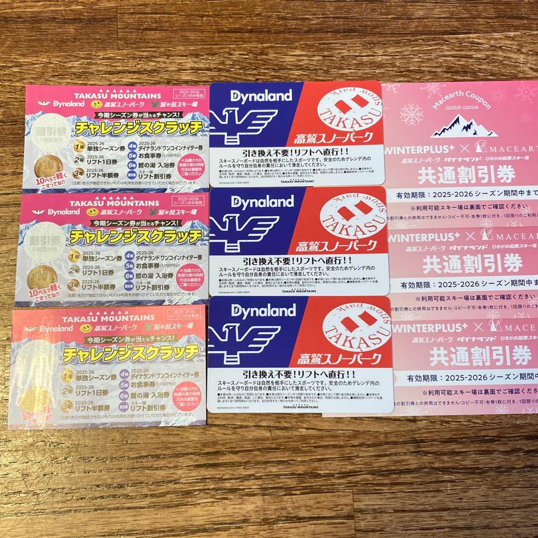 高鷲スノーパーク ダイナランド 共通リフト券 3枚+割引券セット - メルカリ